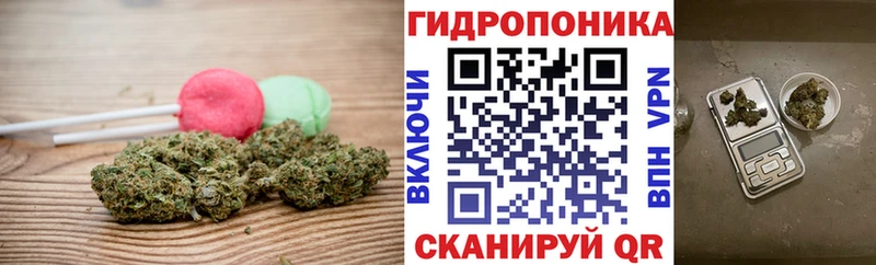 KRAKEN ONION  Луга  Еда ТГК марихуана 