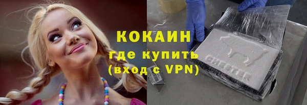 меф Заречный