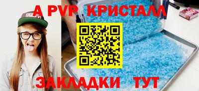 шишки Кандалакша