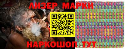 шишки Кандалакша
