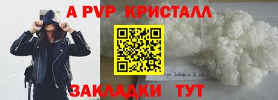 шишки Кандалакша