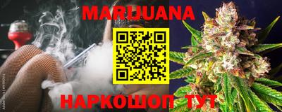 шишки Кандалакша