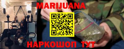 шишки Кандалакша
