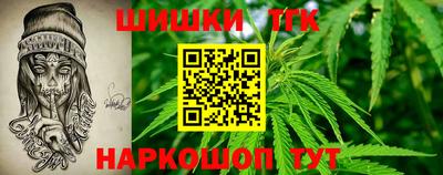 шишки Кандалакша