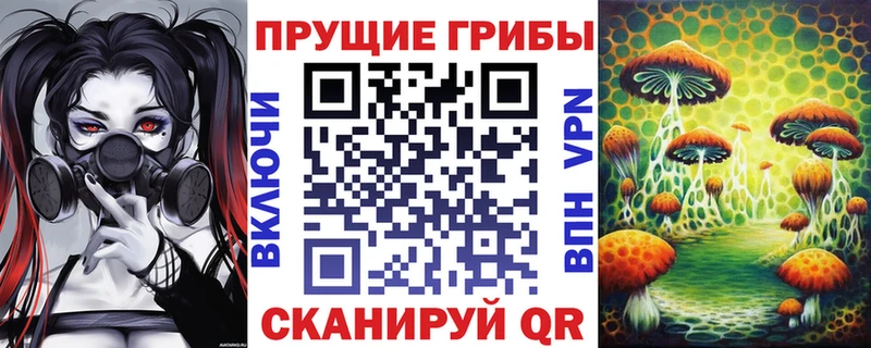 Псилоцибиновые грибы GOLDEN TEACHER  Луга 