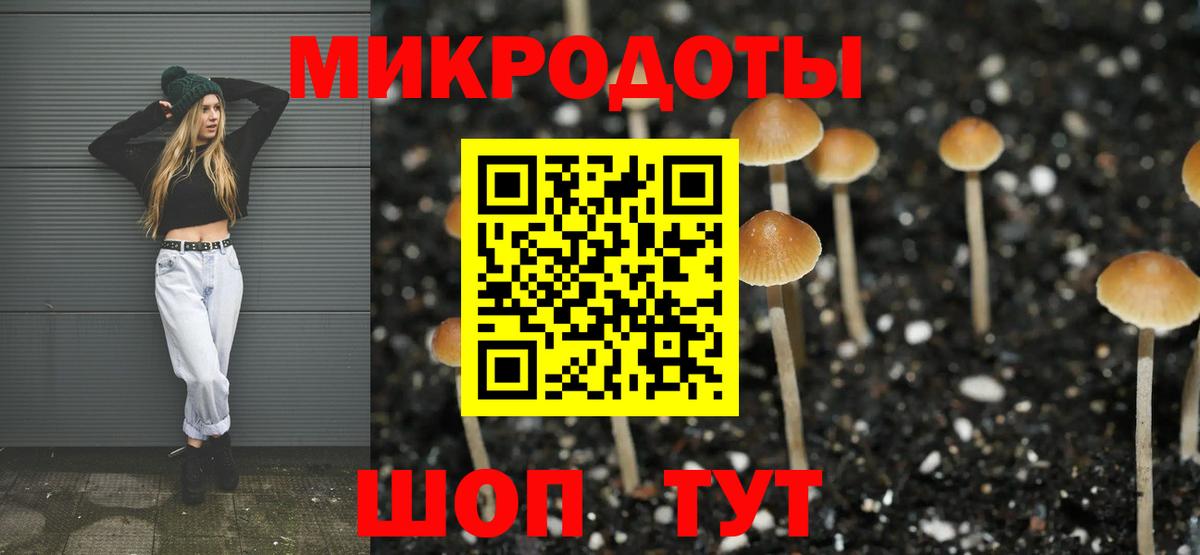 Луга  Галлюциногенные грибы MAGIC MUSHROOMS  Вход с VPN  Псилоцибиновые грибы мухоморы 